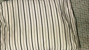 Shirt For Women