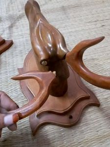 Horse Head Decoration 🐴