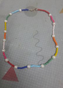 Rainbow Seed Besads Necklace