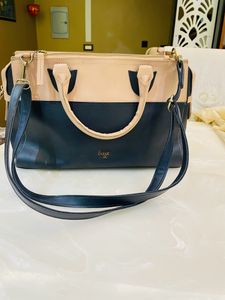 Baggit Handbag