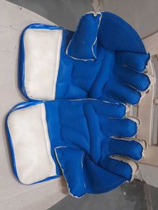 Cricket Wicket Keeping Glove
