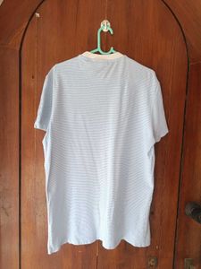 Lacoste T Shirt For Men