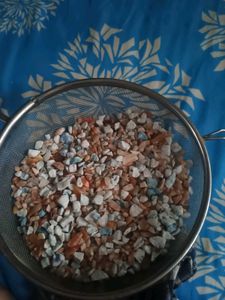 Half Kg. Fish Tank  Plant Pot Decor