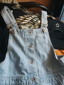 Denim Button-Down Dress