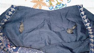 3 piece sharara set