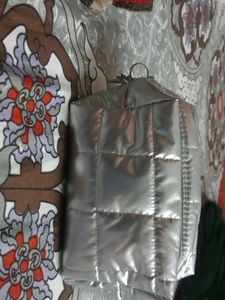 Silver Quilted Pouch