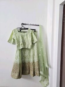 Elegant Pastel Green Embroidered Lehenga Set