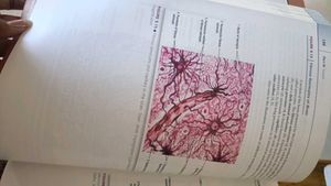 diFiore's Atlas of Histology