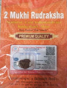 2 Mukhi Rudraksha Pendant