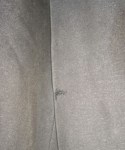 Dark Brown Pant For Men