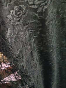 Elegant Black Lace Dress