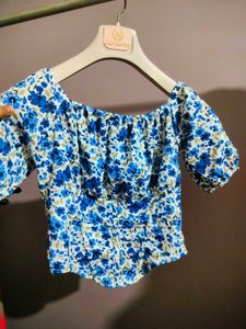 Blue Crop Top Corset Type