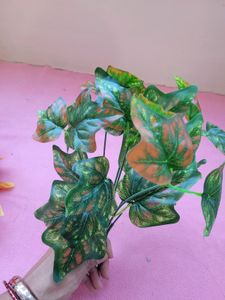 Leaf Bunches