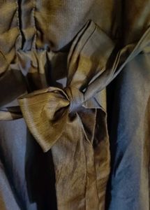 Gold Tinted Brown Gown