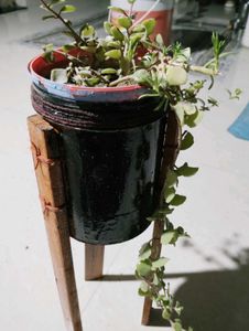 Plant Holder With Pot