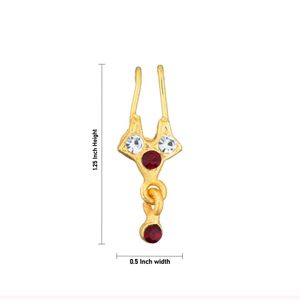 Golden Nose Pin