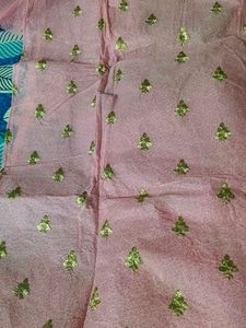 Organza Suit
