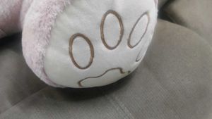 Pink Hoodie Teddy Bear(fixed price)