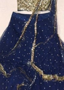 Sequin Embellished Lehenga Choli