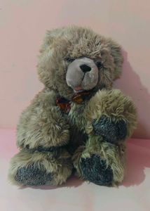 Teddy For Cuddle 🤗