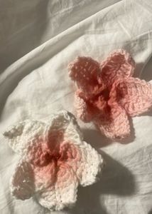 Flower Crochet Clip 🌺 Sale