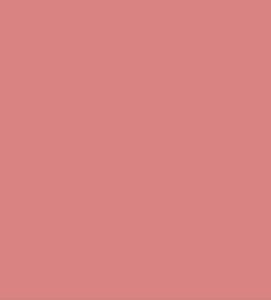coral pink pure organza silk saree