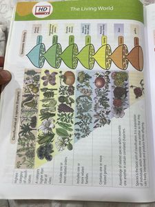 Objective NCERT Biology Class XII