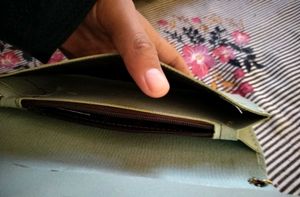 Purse And Wallet For Women