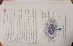 General Anatomy Handbook