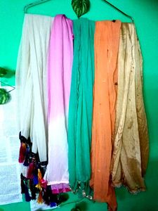 Colorful Dupatta Scarf Collection