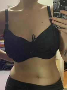 Dorina Fiji Curves Classic, Best Quality