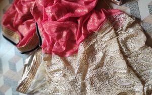 Half Net Saree (Chaniyacholi Look Sare