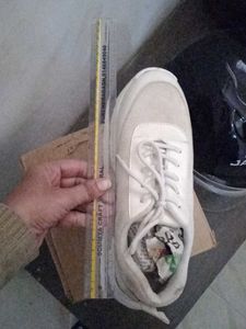 Sport Shoes