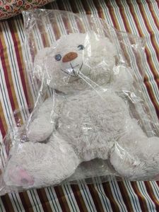 Teddy Bear For Kids