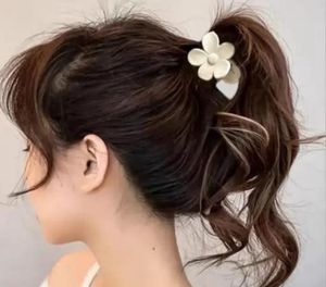 Cute Hair Claw Clip Set