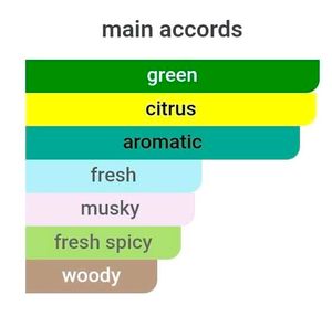 CK One Summer Perfume Bodyspray 200ML