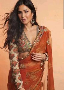 Katrina's inspo Orange net saree
