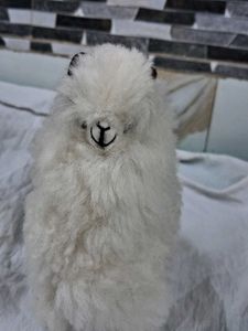 Original 🦙 Alpaca Toy