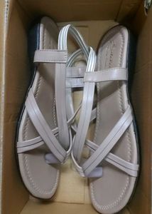 Elegant Tan Flats