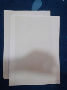 Class 10 History Chapter 2 Nationalism In India