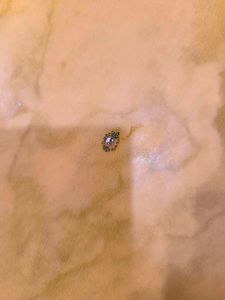 Vintage Orange saree with maroon background