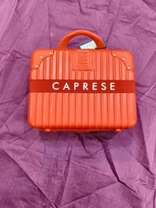 Caprese Vanity bag- bollywood style.
