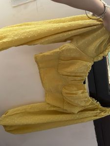 Yellow Pom Po