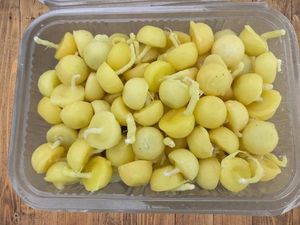 Ghee Diya Wicks For Direct Use 100pc