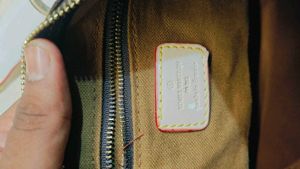 Louis Vuitton Speedy Nano Crossbody Dupe Bag