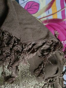 Elegant Woolen Shall