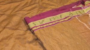 Brown Striped Saree
