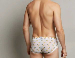 Pineapple Print U Convex Pouch  Transparent Brief