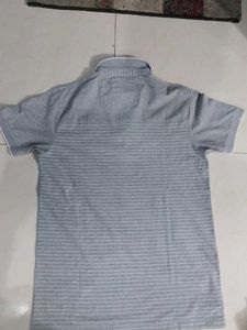 Striped Polo Shirt