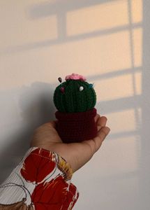 crochet cactus 🌵🌸